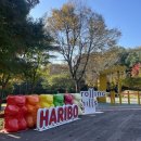 화성 롤링힐스 호텔 숙박, 조식뷔페 후기
