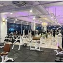 위너스타짐 이미지