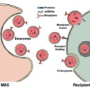 제일2차동물메디컬센터 이미지