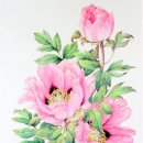 보태니컬 아트 이미지