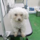 마포구청역 6번출구 이미지