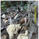 옛날의국밥 이미지