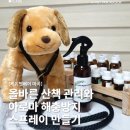 더힐테라피센터 이미지