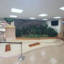 익산초등학교 이미지