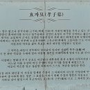선포약수터 | 강화 교동도 화개산(華蓋山/ 259.9m) 나들이 산행