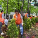 작전1동 이미지