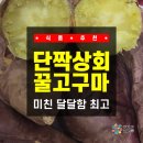 [식품 추천] 해남고구마 꿀고구마, 단짝상회 밤고구마 꿀밤고구마 진심 미친 달달함 최고임!!!