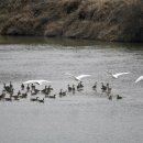 회천식당 이미지