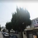 이도39환경 네이버블로그