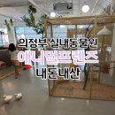 애니멀프렌즈 | 실내동물원 양 토끼 파충류 다양한 동물이 있는 애니멀프렌즈 내돈내산 후기