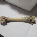 호식이두마리치킨방어점 이미지