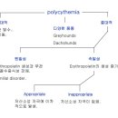 진성동물병원 이미지