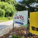 아띠랑스비치 | 가평수영장펜션/ 여름 끝자락 가평 아띠랑스펜션 내돈내산 후기/[아띠랑스펜션]