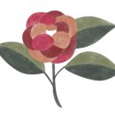 제주사랑터울 이미지