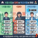 조국 ㅡ 여자아이돌의 어투 문제삼다.(일베용어 사용 아이돌) 이미지