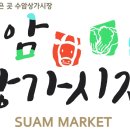성진청과