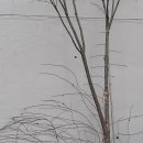 타이어프로밀양가곡점 이미지