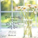 송하예~니소식 이미지