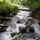 고지농장 이미지