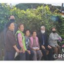 삼척세무서태백지서 이미지