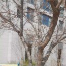 행복광장 화장실 이미지