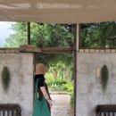 아야진 호두민박 | 유쁘/江原道 + Yeoju, 2021