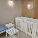 귀여븐댕 이미지