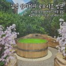 워터피아 | 강원도 설악 워터피아 겨울 방문 후기(할인. 준비물. 놀거리 정보)