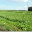 광명리마을회관 이미지