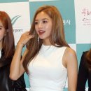 레인보우 이미지