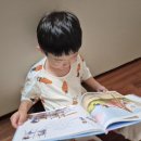 이철환 | [독서인증행사] 진관동 독서마라톤 후기, 책 읽는 아들 사진들