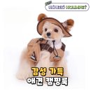 홀림펫