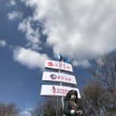 후크선장과 바다낚시 이미지