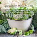 서부경건강이야기 | [마감예정] 서부경 건강이야기 건강식품 7종 체험단 모집