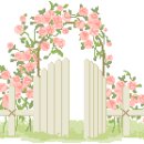 Dream is nowhere / Dream is now here 이미지