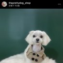 더 이쁘개 이미지