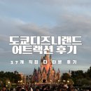일본여행28 도쿄디즈니랜드 어트랙션 17개 직접타본 놀이기구 추천 정보 1편