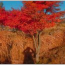 1박2일테마 이미지