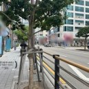 SK3차세탁소 이미지