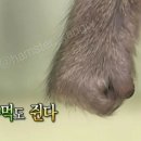 제일제당(주)