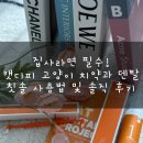 나비덴탈 | "집사라면 필수! 고양이치석제거 캣디피 고양이 치약과 덴탈 칫솔 사용법 및 솔직 후기"