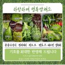 하랑하제