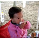 희준농장 이미지