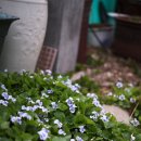 용산-222 이미지