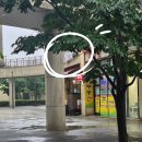 민속바지락칼국수 | [영등포 맛집] 고향엄마손생바지락칼국수 영등포점 / 푸짐하고 맛있는 집