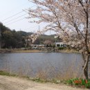 국당1리 이미지