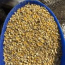 대주농장 이미지