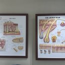 영인케어 | 샵 ‘맞춤 상담’이 인상적이었던 영인피부｜방화동피부관리·마곡피부관리실 피지/화이트헤드 케어 후기
