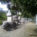 만세교리 태봉 이미지