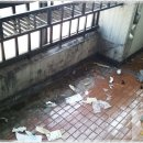 크린보이 - 북구 매곡1로 15-1 | 크린보이